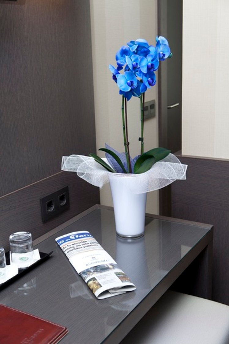 TRIPLE WITH TERRACE Room