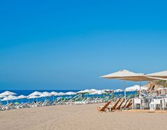 Kaktus Playa